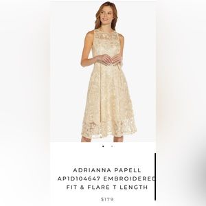 Adrianna Papell Champagne Dress